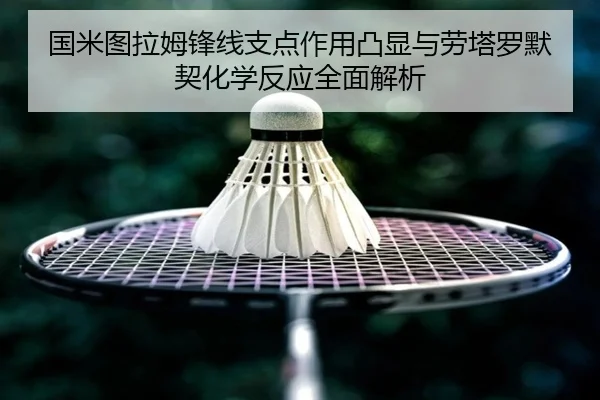 国米图拉姆锋线支点作用凸显与劳塔罗默契化学反应全面解析